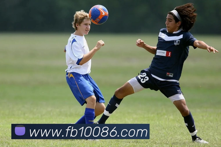 多媒体互动体验